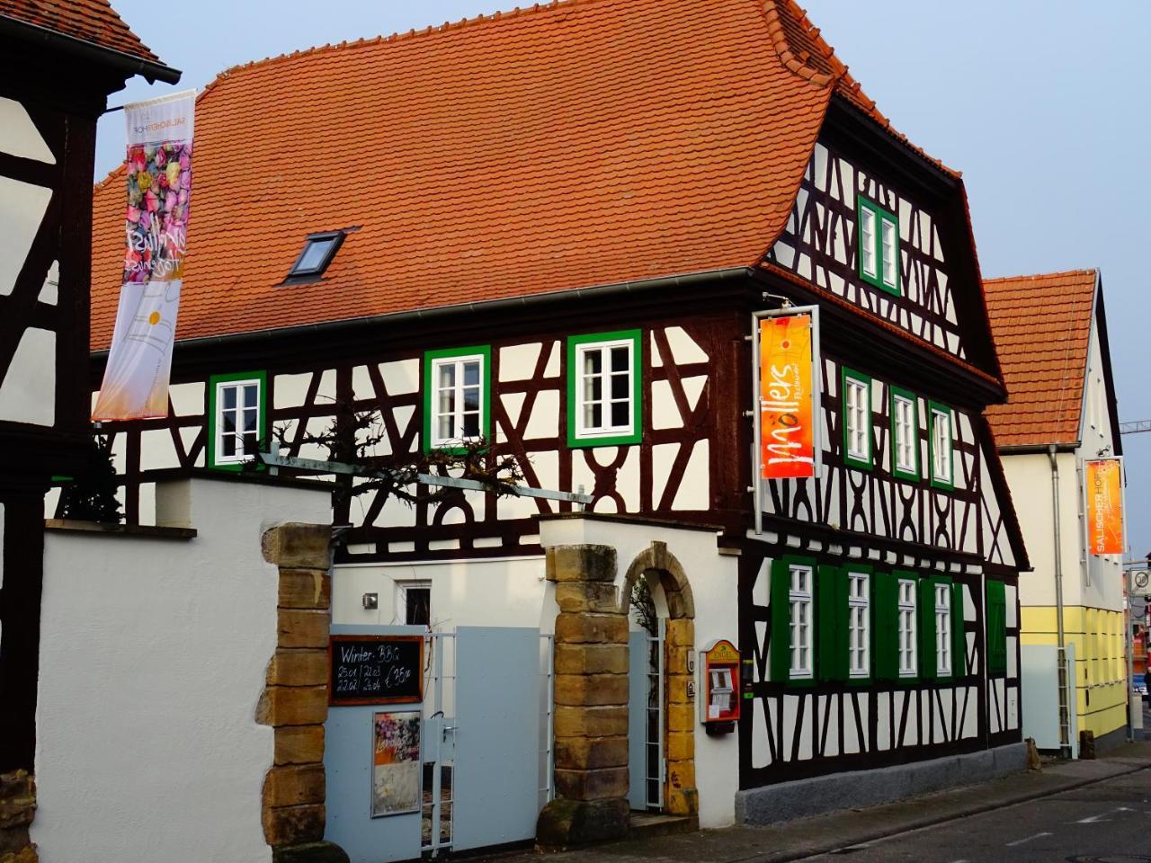 Salischer Hof Schifferstadt Exteriör bild